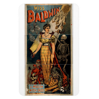 Ímã MagGatinho Mágico Baldwin Magnet