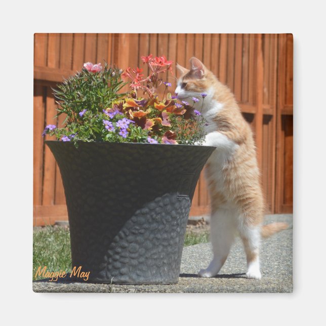 Imã Maggie May & Flowers (Frente)