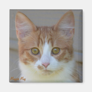 Imã Maggie May Magnet