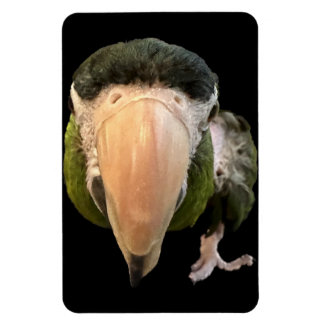 Ímã magia de beakysnooter