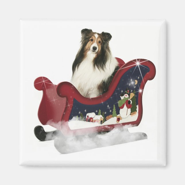 Imã Magic Sleigh Sheltie (Frente)