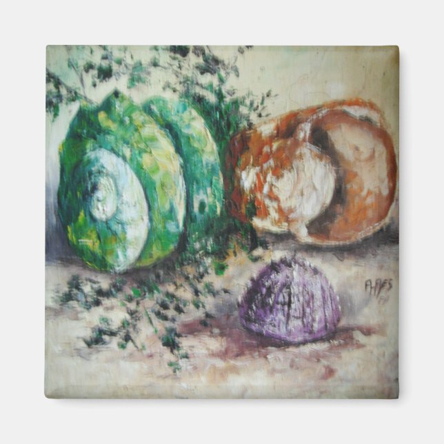 Imã Mágil Ann Hayes Pintando Conchas do Mar (Frente)