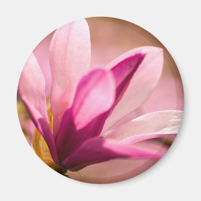 Imã Magnésia Rosa (Frente)