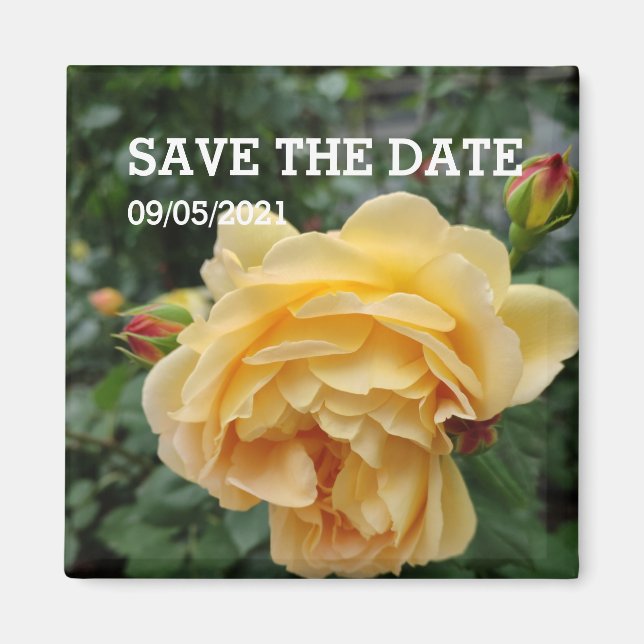 Imã Magnésio de flores de rosa amarela (Frente)