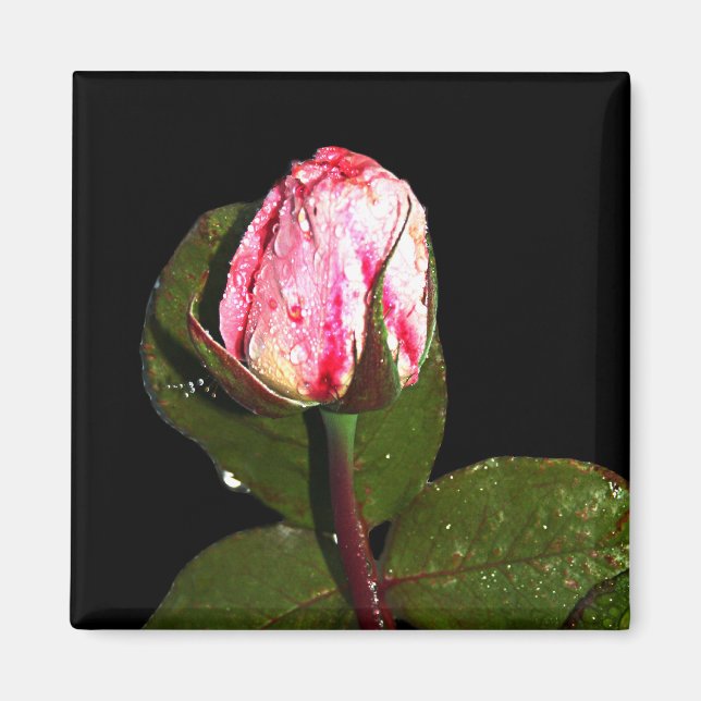 Imã Magnet (Frente)