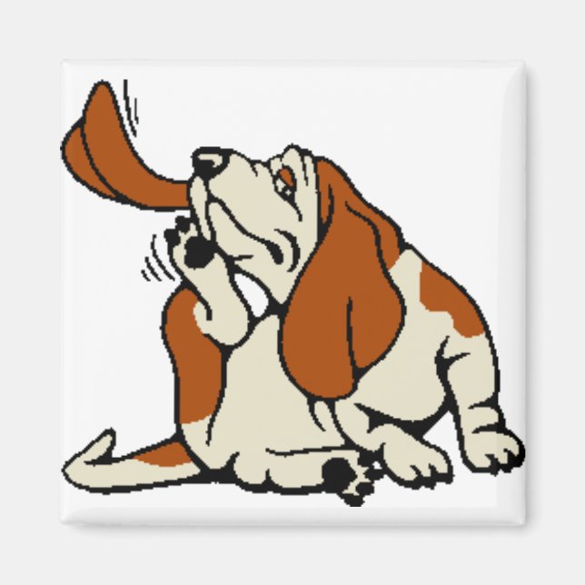 Imã Magnet (Frente)