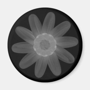 Imã Magnet
