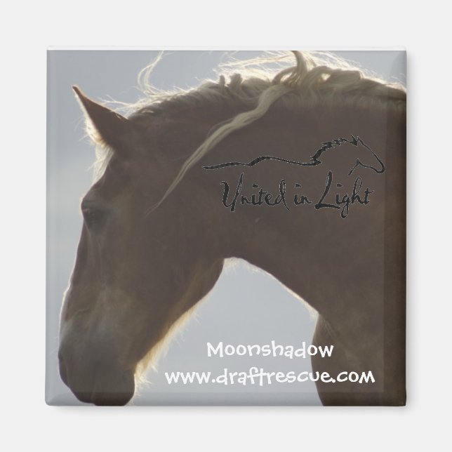 Imã Magnet (Frente)