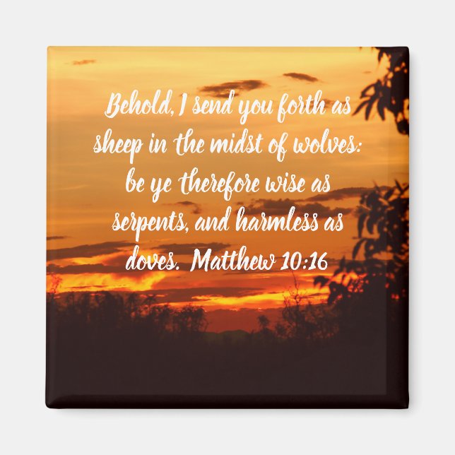 Imã Magnet (Frente)