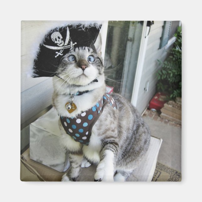 Imã Magnet (Frente)