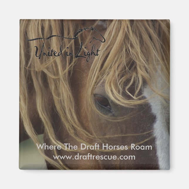 Imã Magnet (Frente)