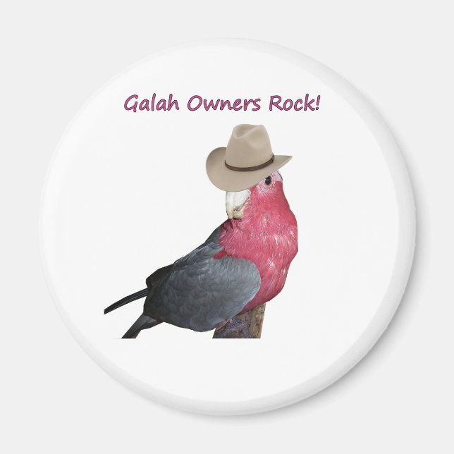 Imã Magnet (Frente)