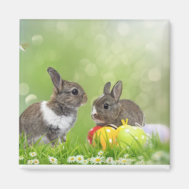 Imã Magnet (Frente)