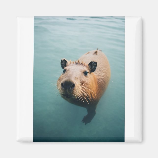 Imã Magnet (Frente)