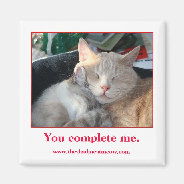 Imã Magnet (Frente)