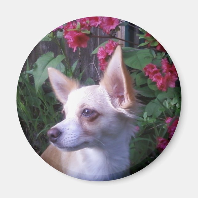 Imã Magnet "Adicionar Sua Própria Foto" (Frente)