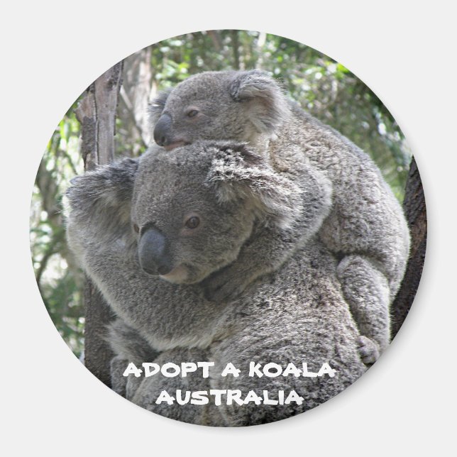 Imã Magnet Adota ZIZZAGO Koala Austrália (Frente)