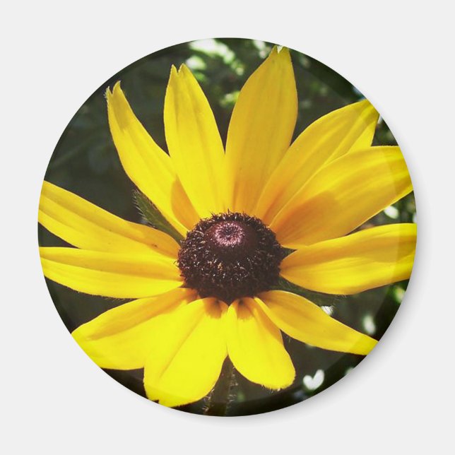 Imã Magnet Amarelo (Frente)