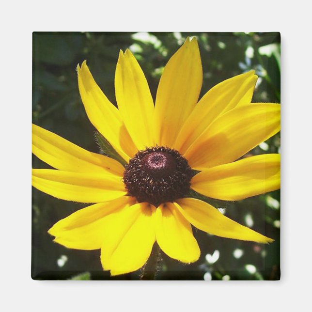 Imã Magnet Amarelo (Frente)