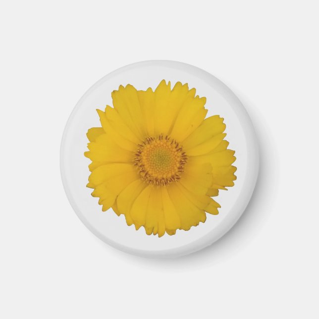 Imã Magnet Amarelo (Frente)