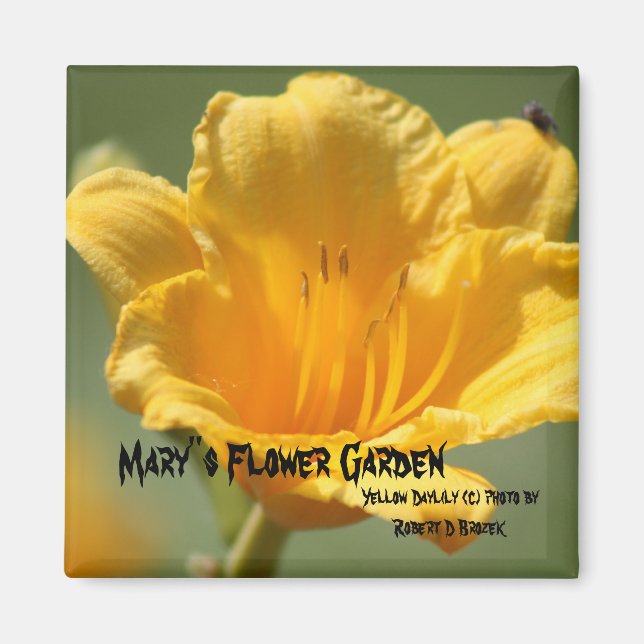 Imã Magnet Amarelo Dayliliar (Frente)