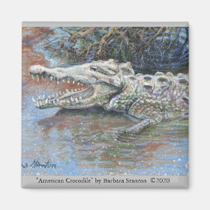 Imã Magnet "American Crocodile"