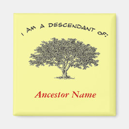 Imã Magnet - Árvore Genealógica