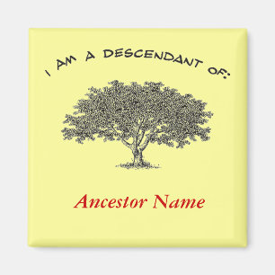 Imã Magnet - Árvore Genealógica