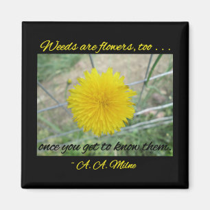 Imã Magnet - As Fezes São Flores