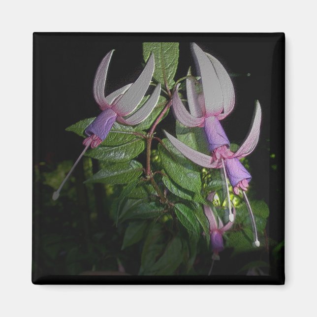 Imã Magnet Azul Fushia (Frente)