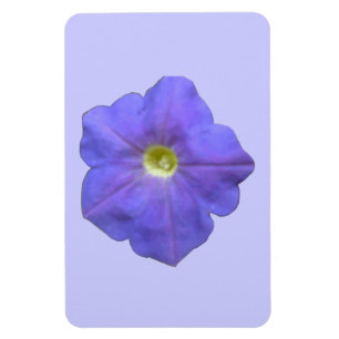 Ímã Magnet Azul Petunia Premium