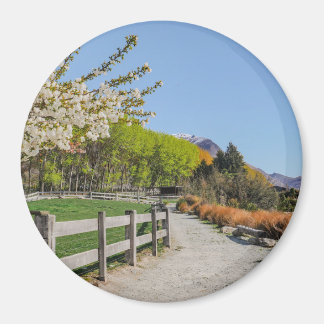 Imã Magnet - backdrop of Walter's peak