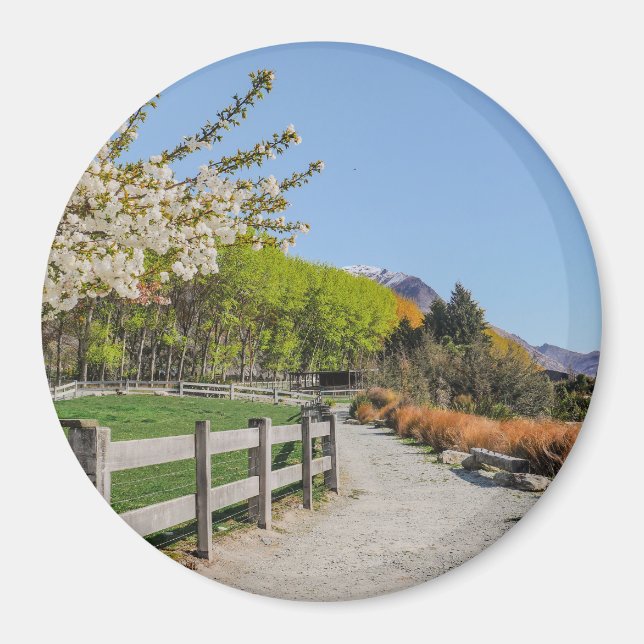 Imã Magnet - backdrop of Walter's peak (Frente)