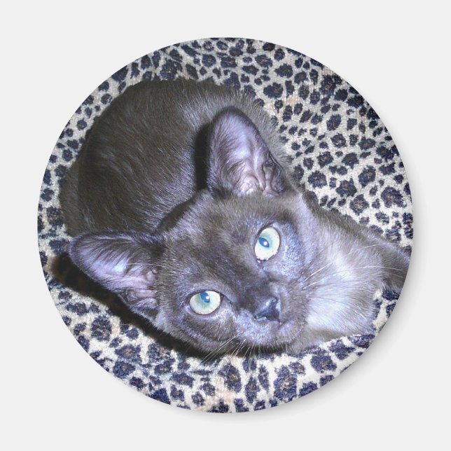 Imã Magnet birmanês (Frente)