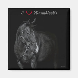 Imã Magnet Black & White Warmblood