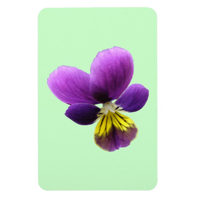 Ímã Magnet bonito Pansy Premium (Vertical)