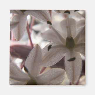 Imã Magnet bonito para Flores Claras