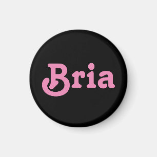 Imã Magnet Bria
