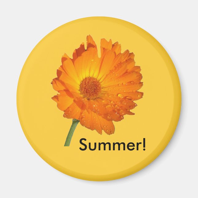 Imã Magnet - Calendário no Stem (Frente)