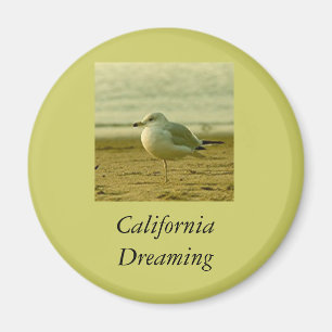 Imã Magnet - California Dreams