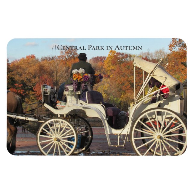 Ímã Magnet — Carruagem no Parque Central de NYC (Horizontal)