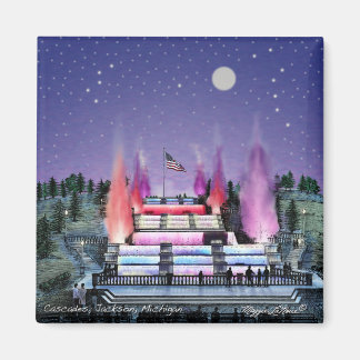 Imã Magnet - Cascades Jackson Michigan