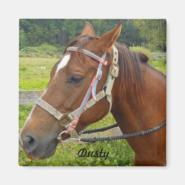 Imã Magnet Cavalo (Frente)