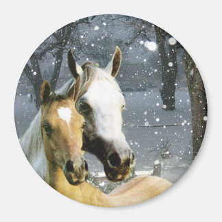 Imã Magnet Cavalo