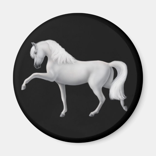 Imã Magnet Cavalo Andaluz Branco (Frente)