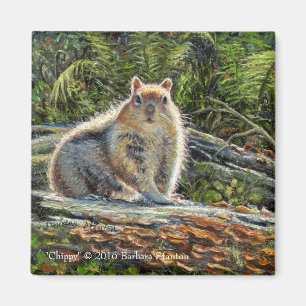 Imã Magnet "Chippy"