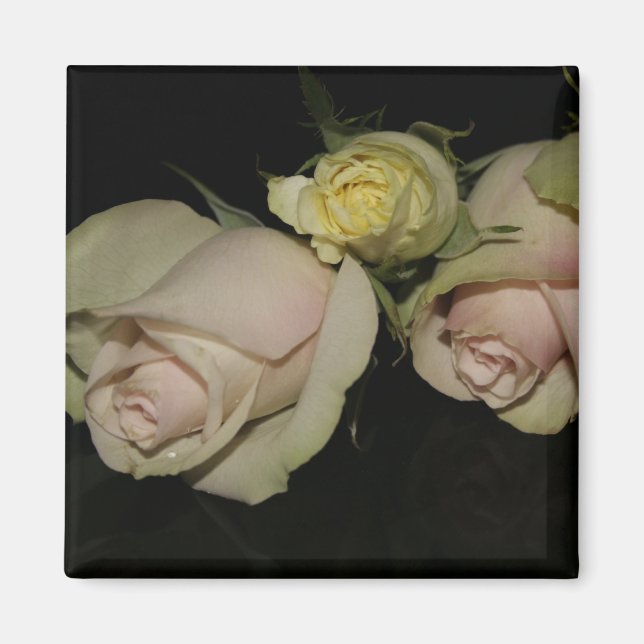 Imã Magnet com 3 rosas (Frente)