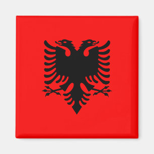 Imã Magnet com Bandeira da Albânia (Flamuri i Shqipëri