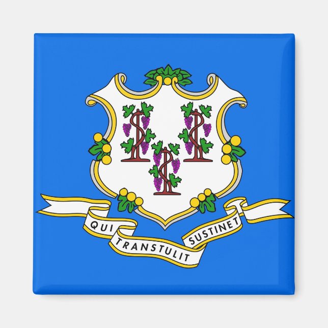 Imã Magnet com Bandeira do Estado de Connecticut - EUA (Frente)