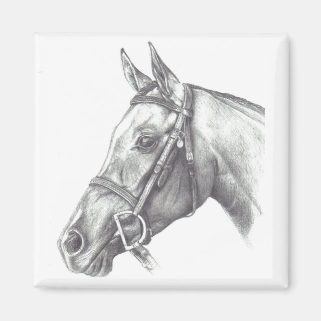 IMÃ MAGNET COM CABEÇA DE CAVALO (Frente)